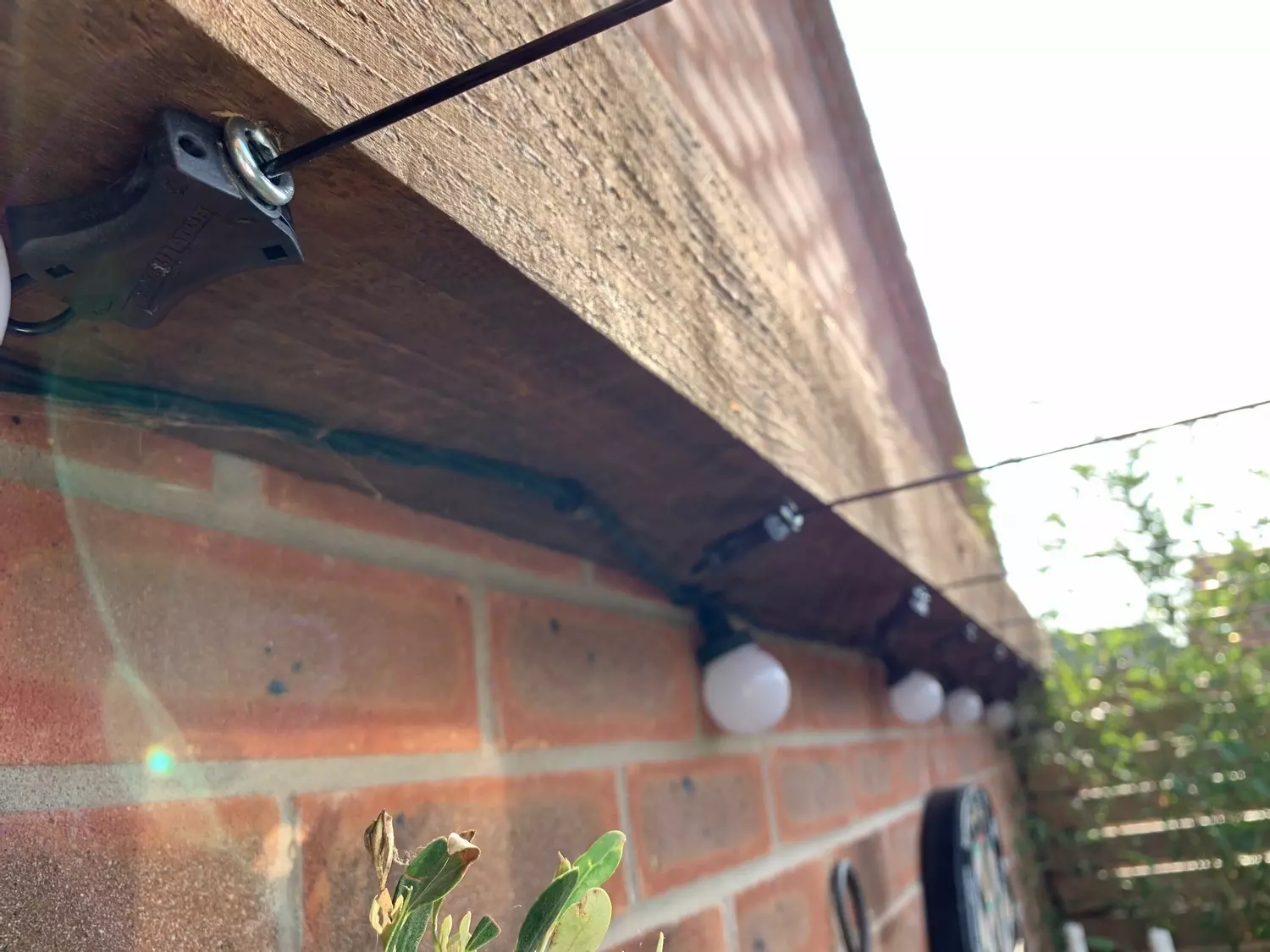 Gripple Garden Trellis Starter Kit Kwazar UK